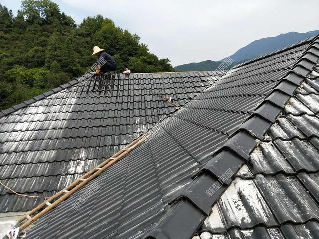 30元一平的樹脂瓦省錢又耐用？網(wǎng)友：吃飽沒事干，用一年就得換